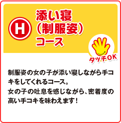 �Y���Q�i�����p�j�R�[�X