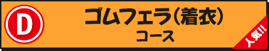 �S���t�F���i���߁j�R�[�X